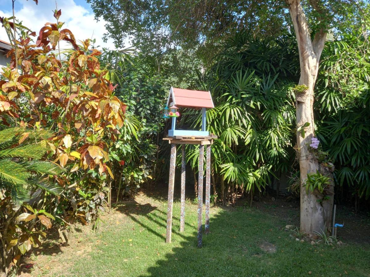Familia Silvia Perico Villa Ilhabela Kültér fotó