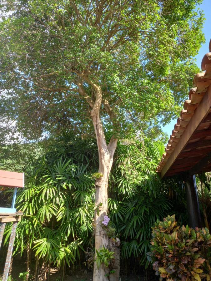 Familia Silvia Perico Villa Ilhabela Kültér fotó