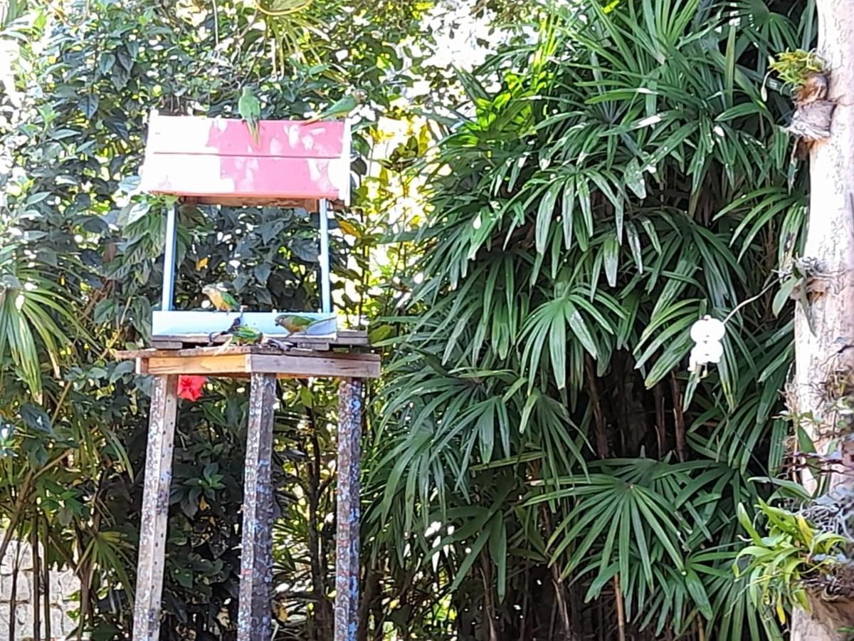 Familia Silvia Perico Villa Ilhabela Kültér fotó